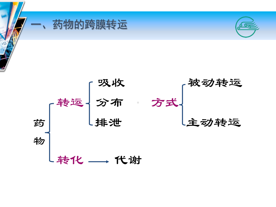 药物代谢动力学课件2.ppt_第3页