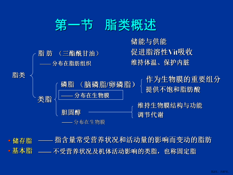 脂类及其代谢课件.ppt_第2页