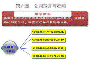 公司兼并与收购1016—18课件.ppt