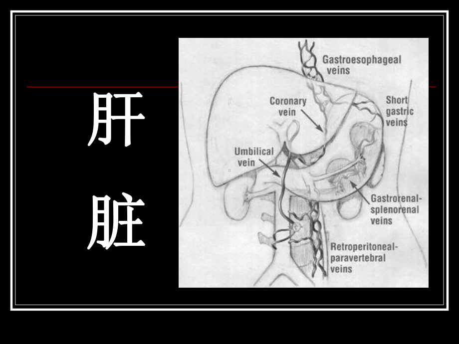 肝胆疾病影像诊断a课件.ppt_第1页