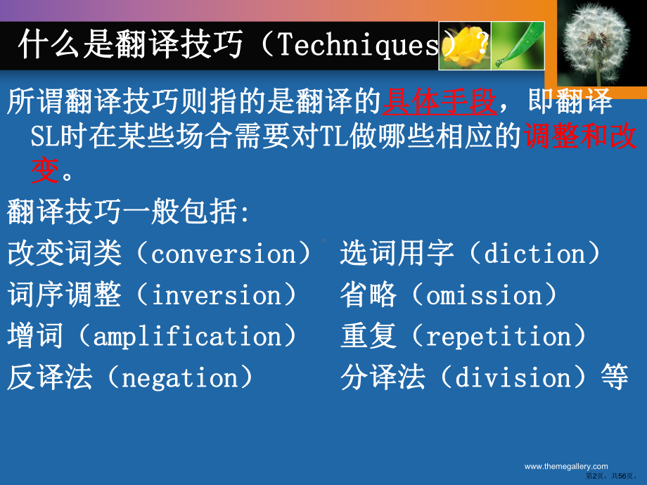 英汉笔译策略和技巧剖析课件.ppt_第2页