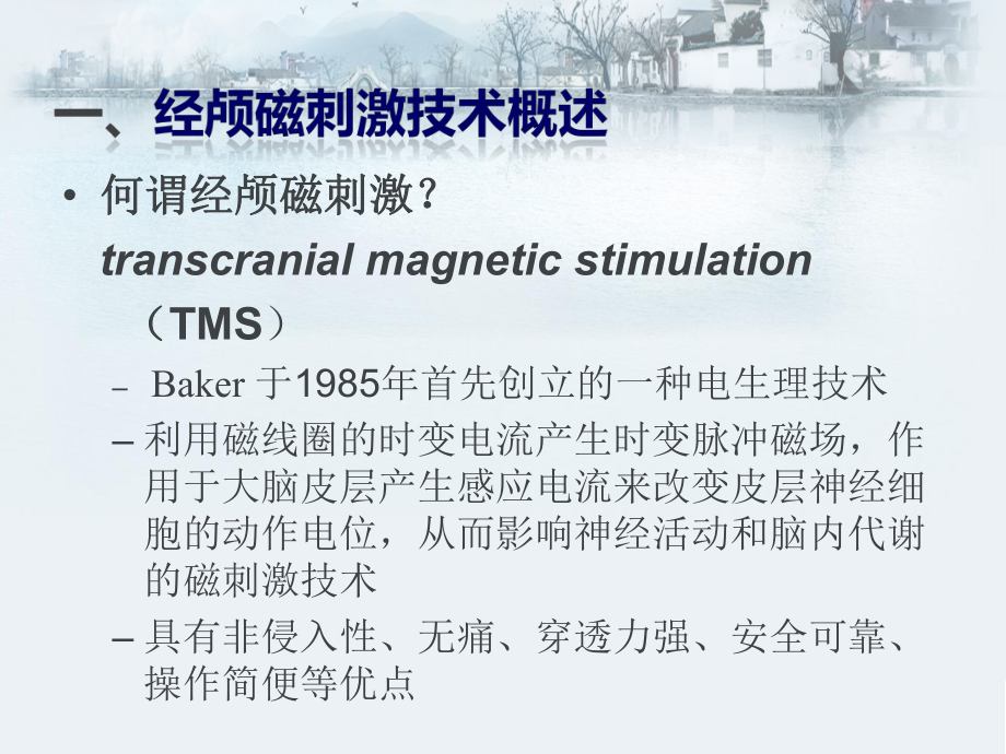 经颅磁刺激技术在儿童康复领域的应用课件.ppt_第2页