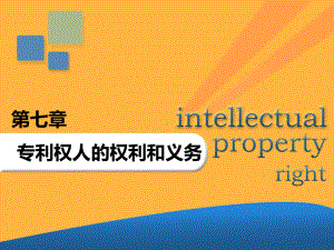 专利权人的权利和义务课件.ppt