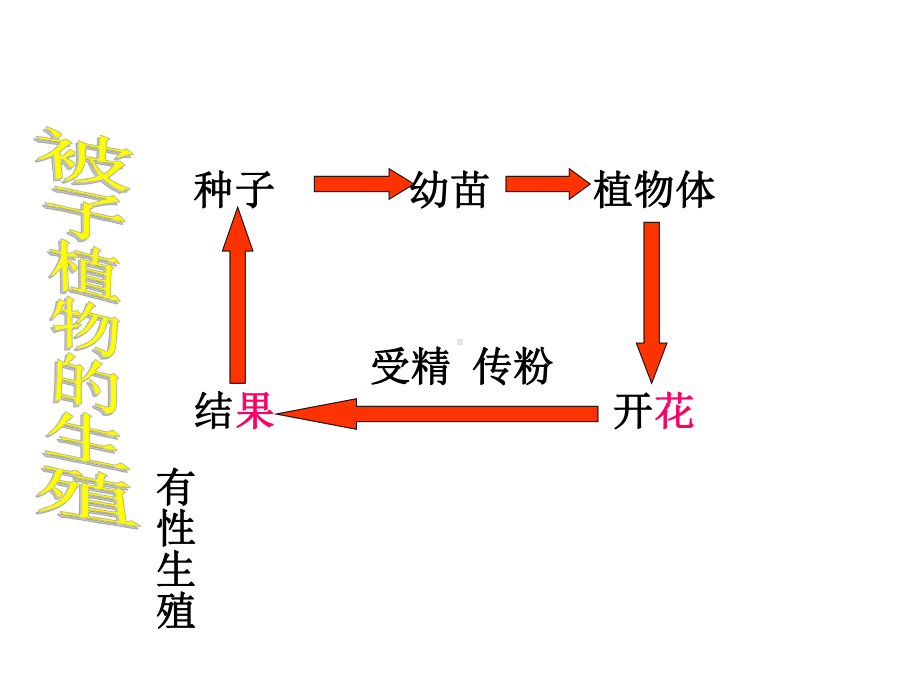 植物生殖方式的多样性2课件.ppt_第1页