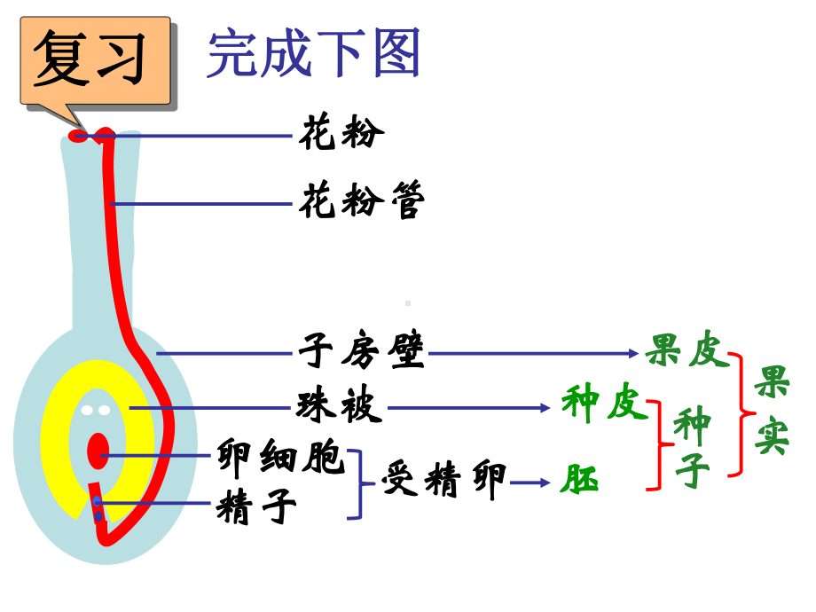 植物生殖方式的多样性2课件.ppt_第2页