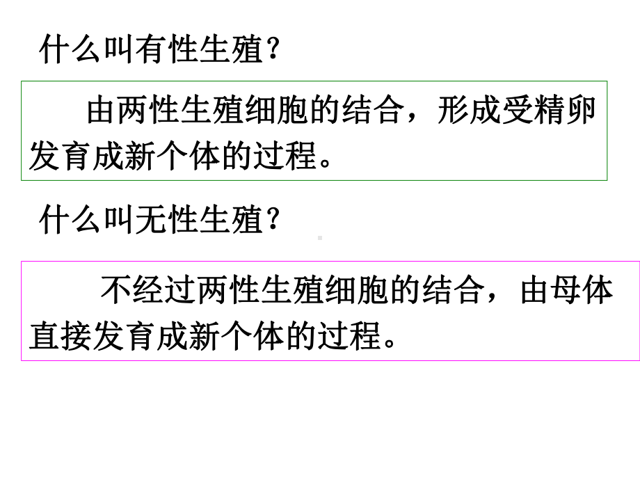 植物生殖方式的多样性2课件.ppt_第3页