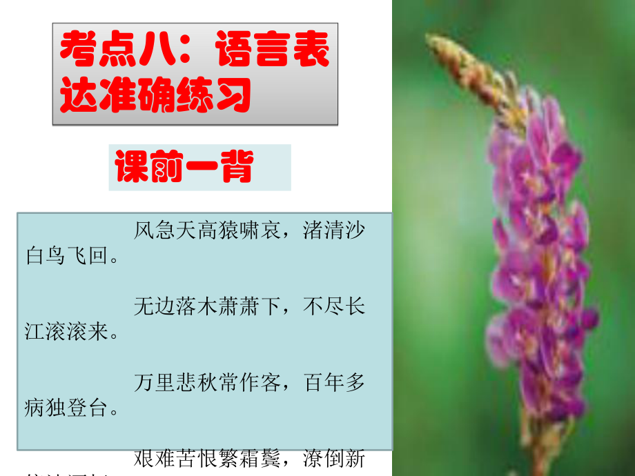 考点八：语言表达准确练习课件.ppt_第1页