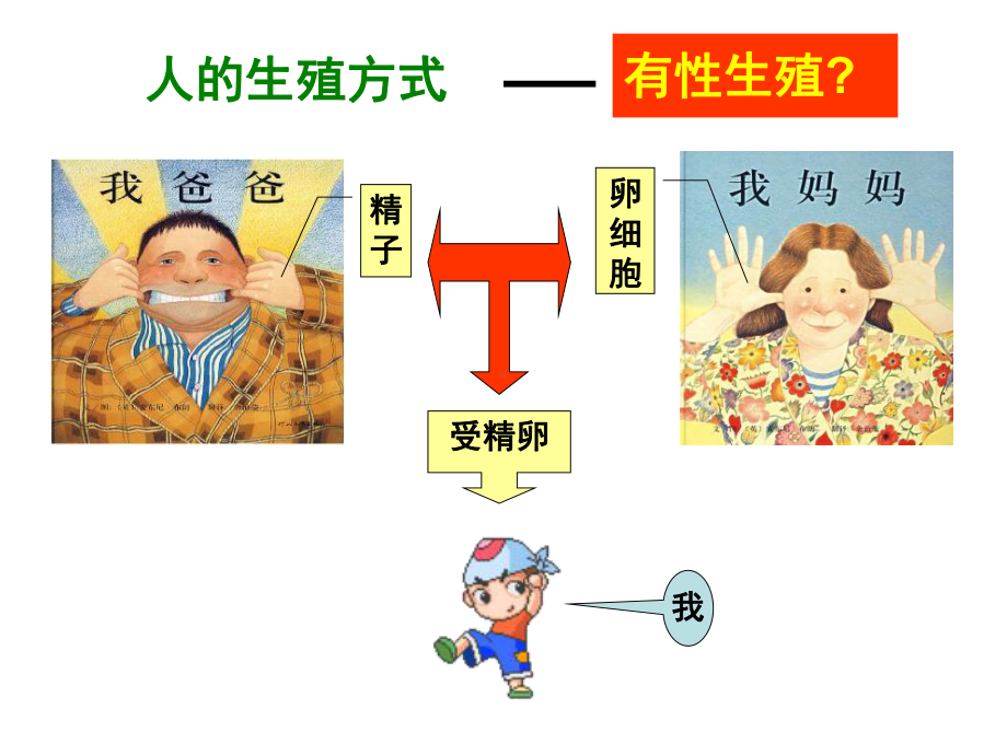 苏教版生物第二十二章第一节生物的无性生殖课件.ppt_第3页