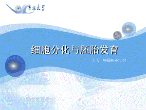 细胞分化与胚胎发育课上演示版课件.ppt