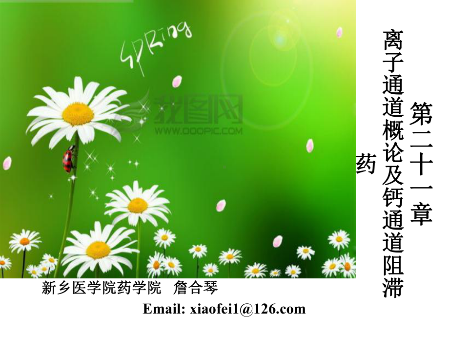 离子通道概论及钙通道阻滞药(详细)课件.ppt_第1页