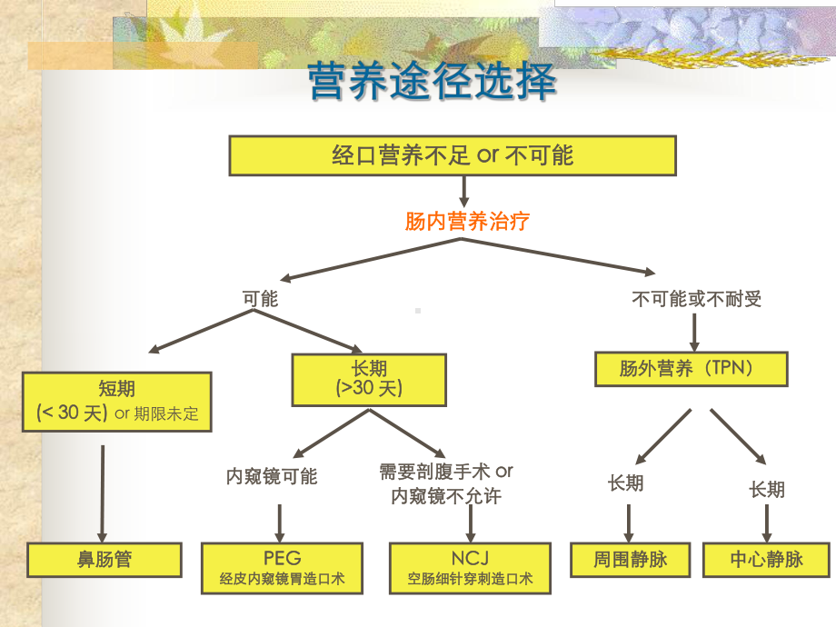 肠内、外营养临床应用及护理课件.ppt_第3页