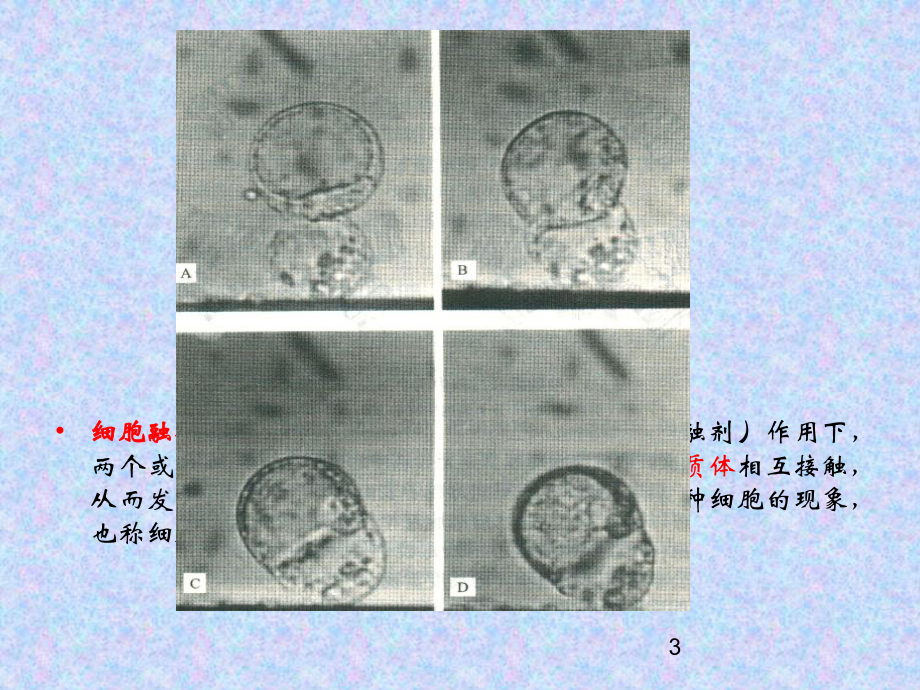 细胞融合方法应用课件.ppt_第3页