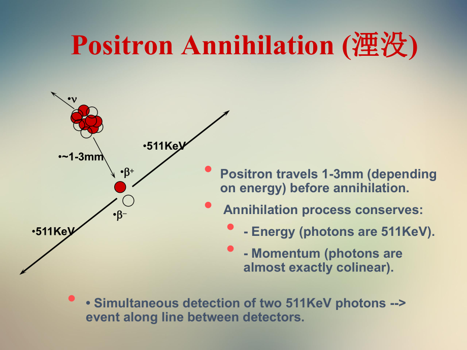 正电子核素显像课件.ppt_第3页