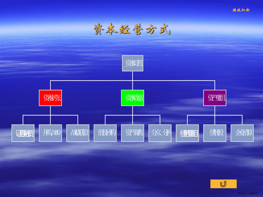 资产剥离与企业分立一课件.ppt_第3页