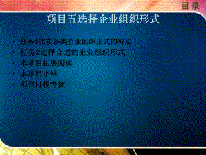 选择企业组织形式课件.ppt