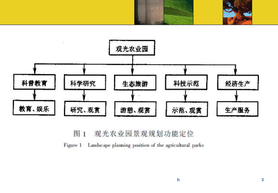 观光农业生态园规划课件.ppt_第3页