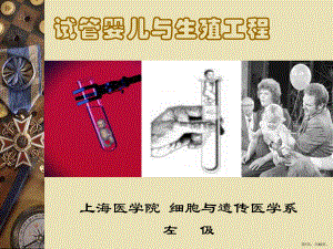 试管婴儿与生殖工程课件.ppt