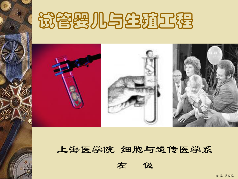 试管婴儿与生殖工程课件.ppt_第1页