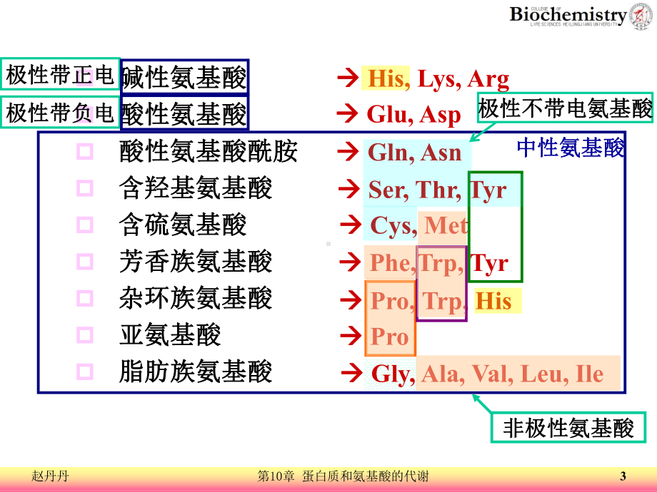 蛋白质和氨基酸的代谢课件.ppt_第3页