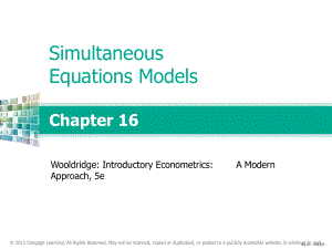 计量经济学导论ch16课件.pptx