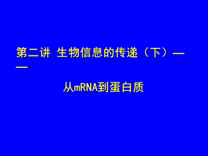 生物信息的传递下从mRNA到蛋白课件.ppt