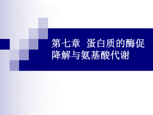 蛋白质的降解课件.ppt