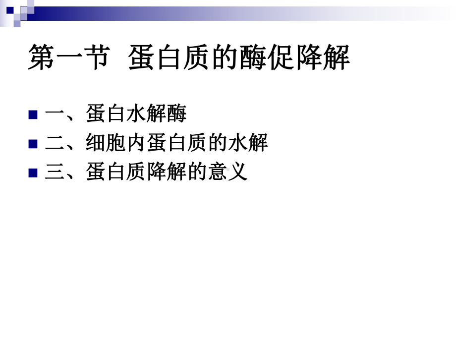 蛋白质的降解课件.ppt_第3页