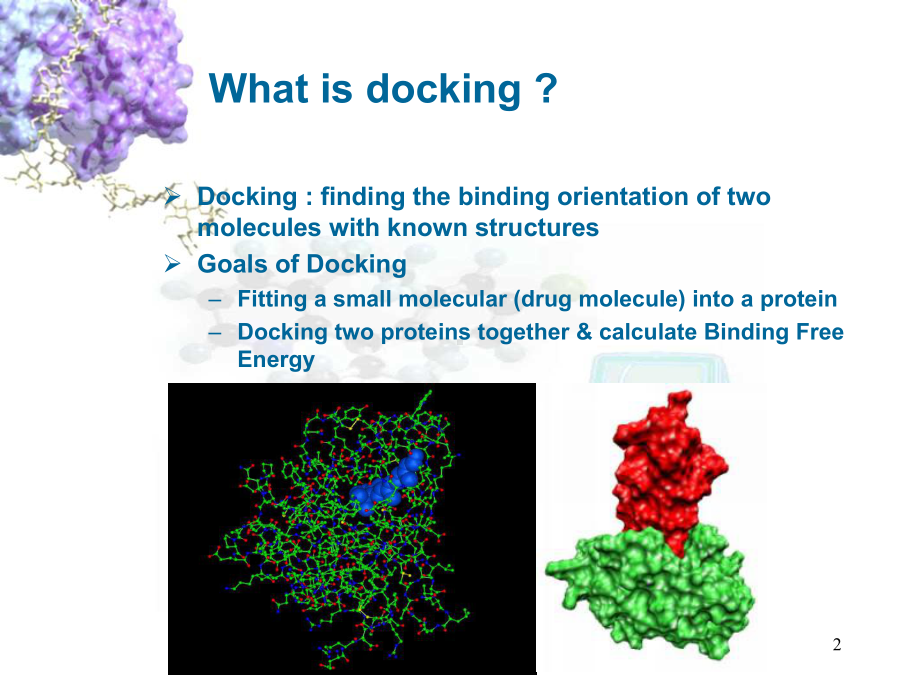 分子对接教材课件.ppt_第2页