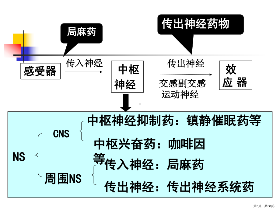 药理学传出神经系统药理概论精炼具体课件.ppt_第3页