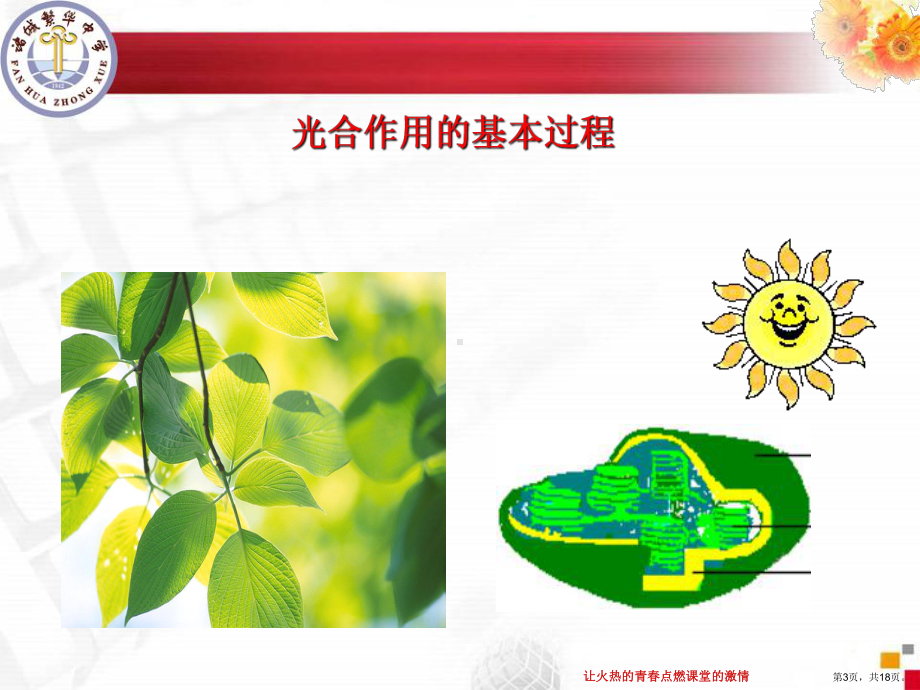 能量之源-光与光合作用61优秀课件.ppt_第3页