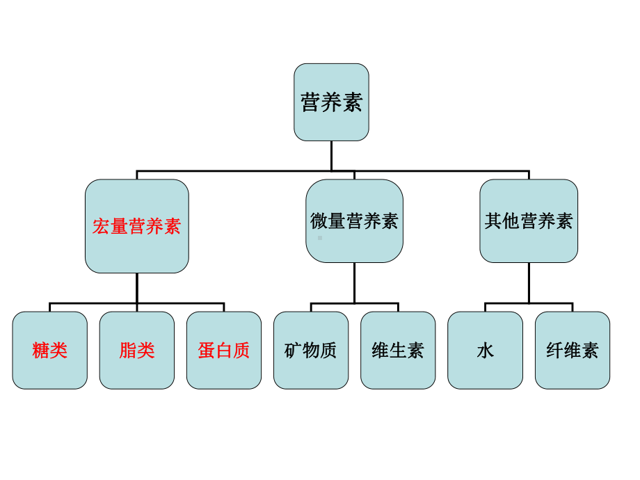 运动和宏量营养素课件.ppt_第2页