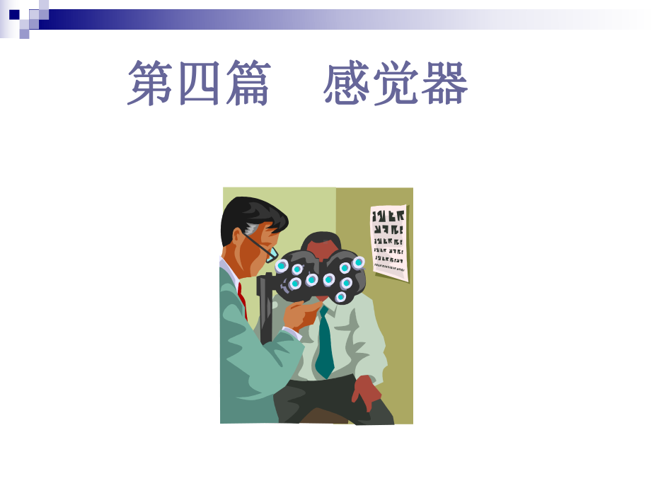 系统解剖学眼课件.ppt_第1页