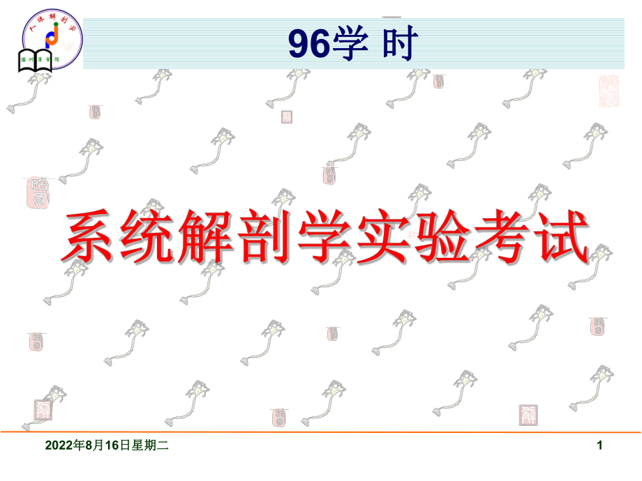 系统解剖学实验考试题实验答案课件.ppt_第1页