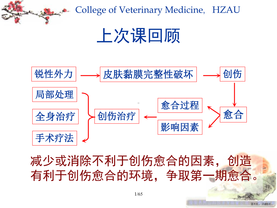 软组织非开发性损伤课件.ppt_第1页