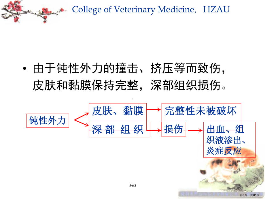 软组织非开发性损伤课件.ppt_第3页