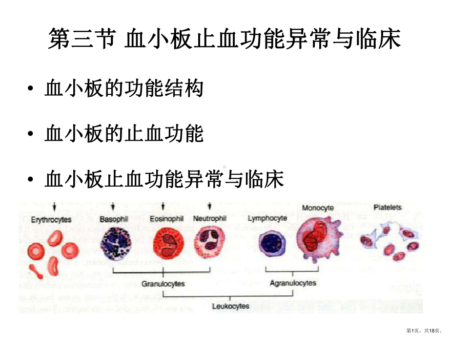 血小板止血功能异常与临床讲解课件.ppt_第1页