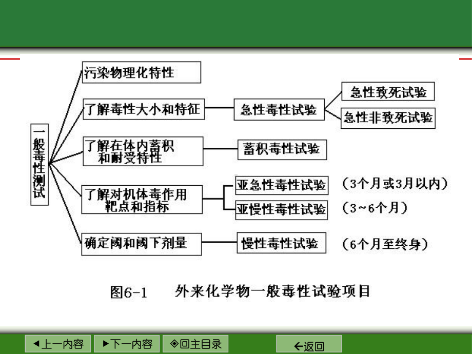 一般毒性作用及其试验与评价方法课件.ppt_第3页