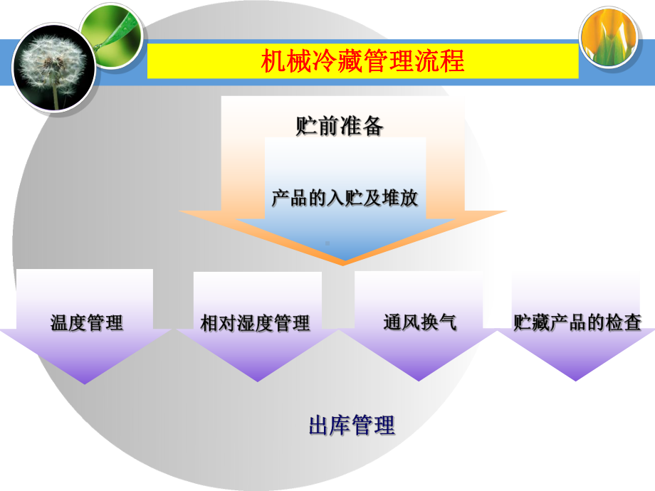 果蔬机械冷藏课件.ppt_第3页