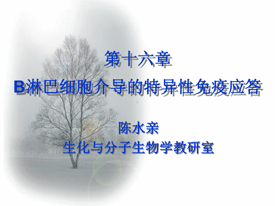 B淋巴细胞介导的特异性免疫应答课件.ppt_第1页