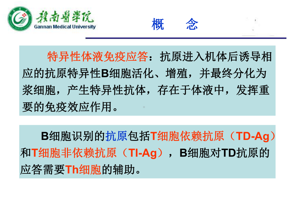 B淋巴细胞介导的特异性免疫应答课件.ppt_第2页