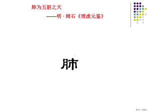 肺气生理功能的表现形式课件.ppt