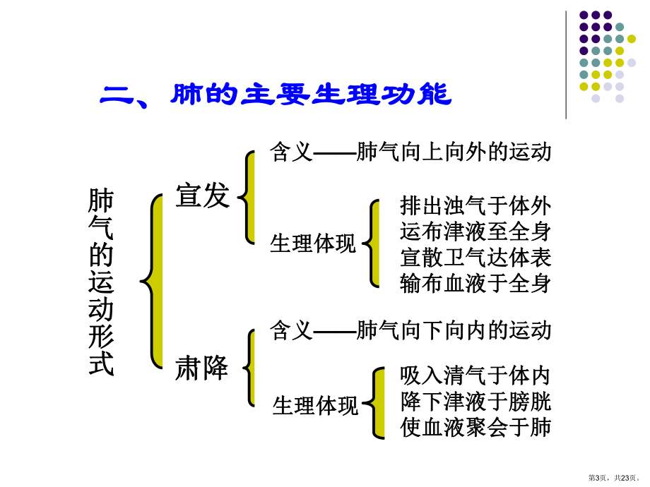 肺气生理功能的表现形式课件.ppt_第3页