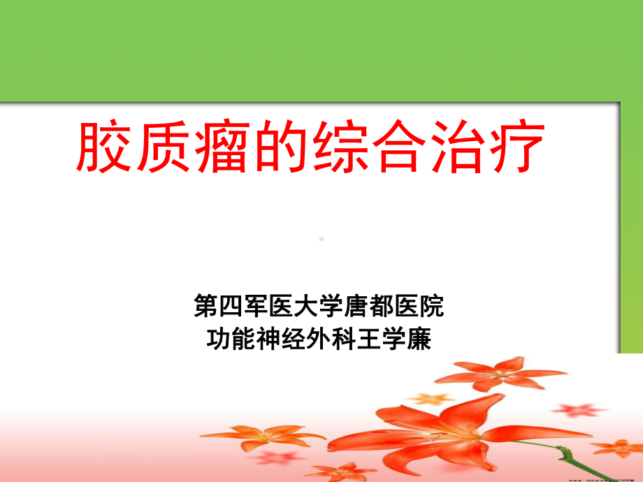 胶质瘤治疗课件.ppt_第1页