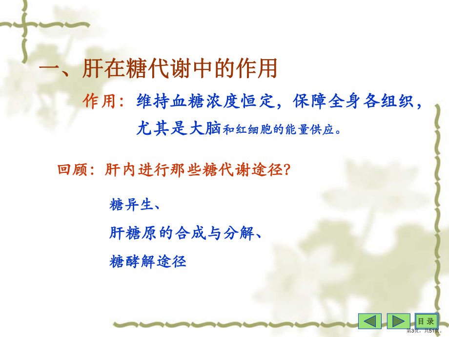 肝脏生化课件.ppt_第3页