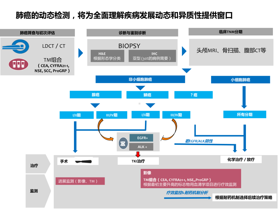 血液中的肺癌诊断课件.pptx_第2页