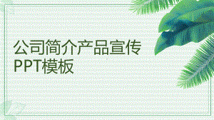 绿色小清新公司简介产品宣传模板课件.pptx