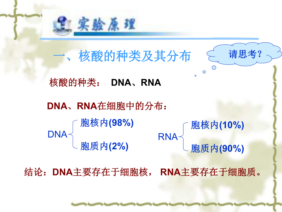 细胞核的分离与核酸的鉴定课件.ppt_第3页