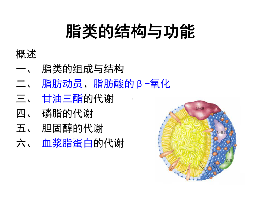 脂类的结构和功能课件.ppt_第1页