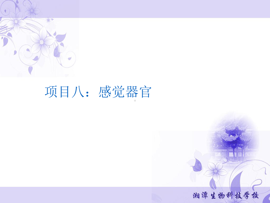 视觉器官能感受光的刺激课件.ppt_第1页