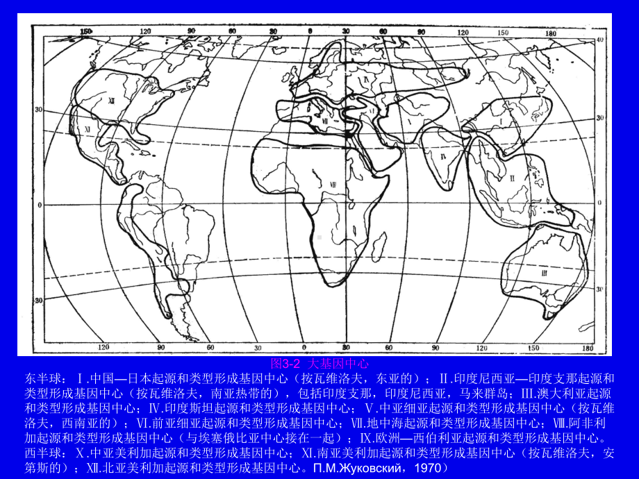 观赏植物起源课件.ppt_第3页